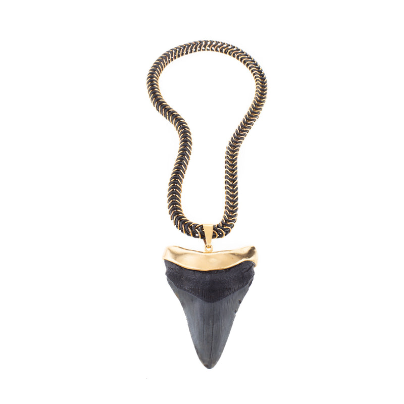 Shark tooth pendant