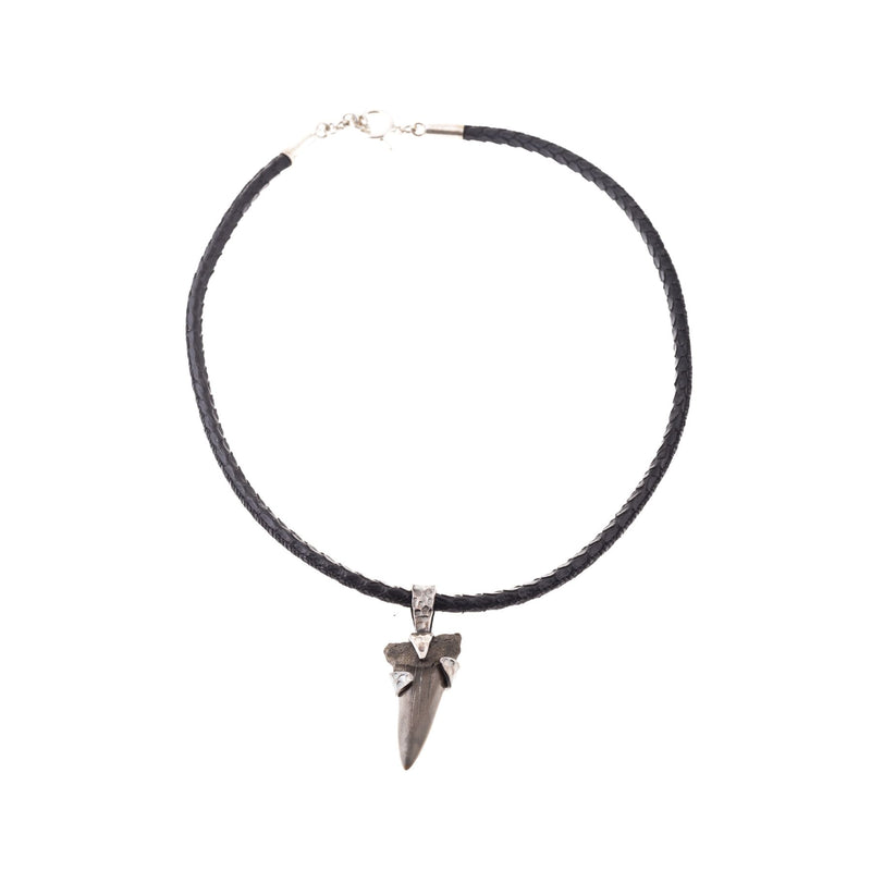 Necklace with metal clasp and shark tooth beads