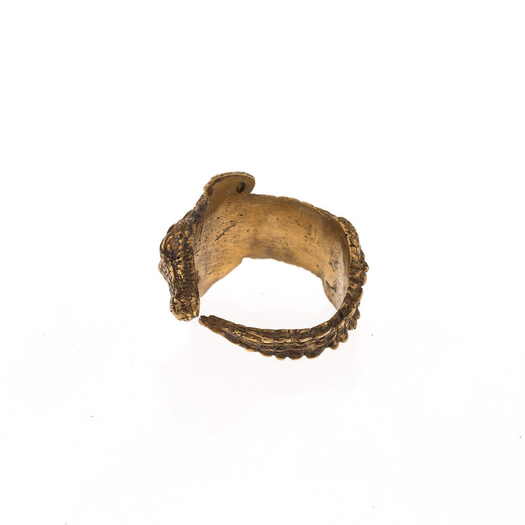 Original crocodile ring seen from behind