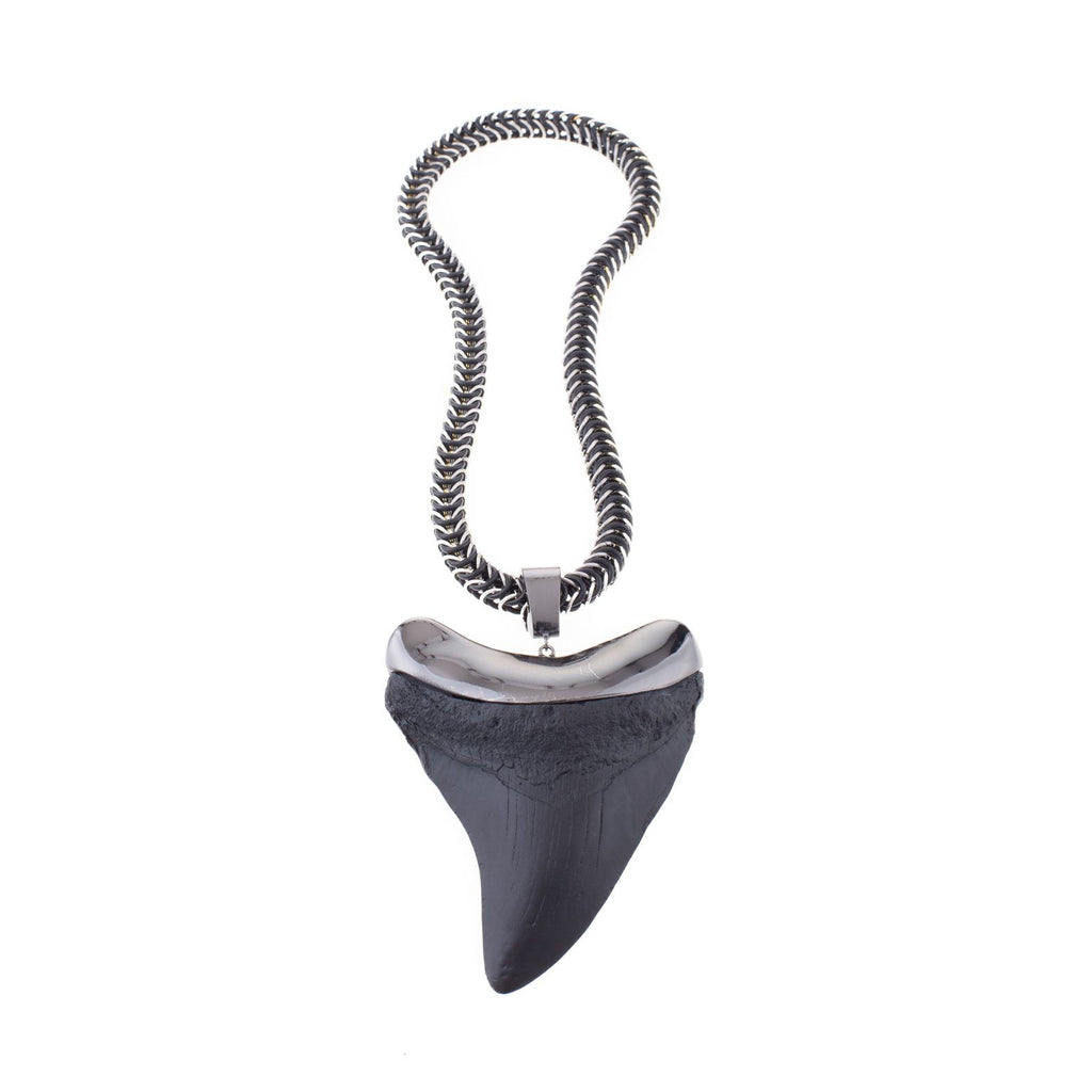 Elastic shark tooth necklace