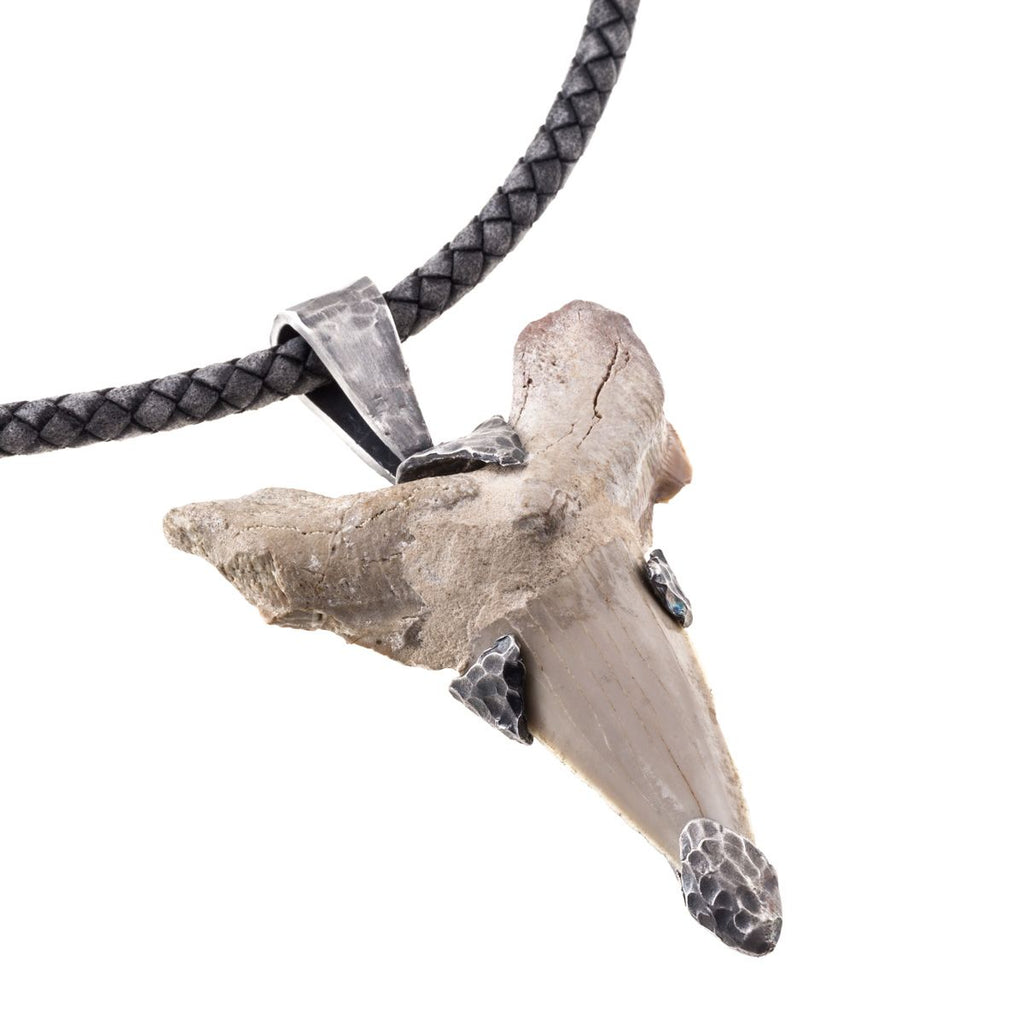 White fossil shark tooth necklace seen close-up