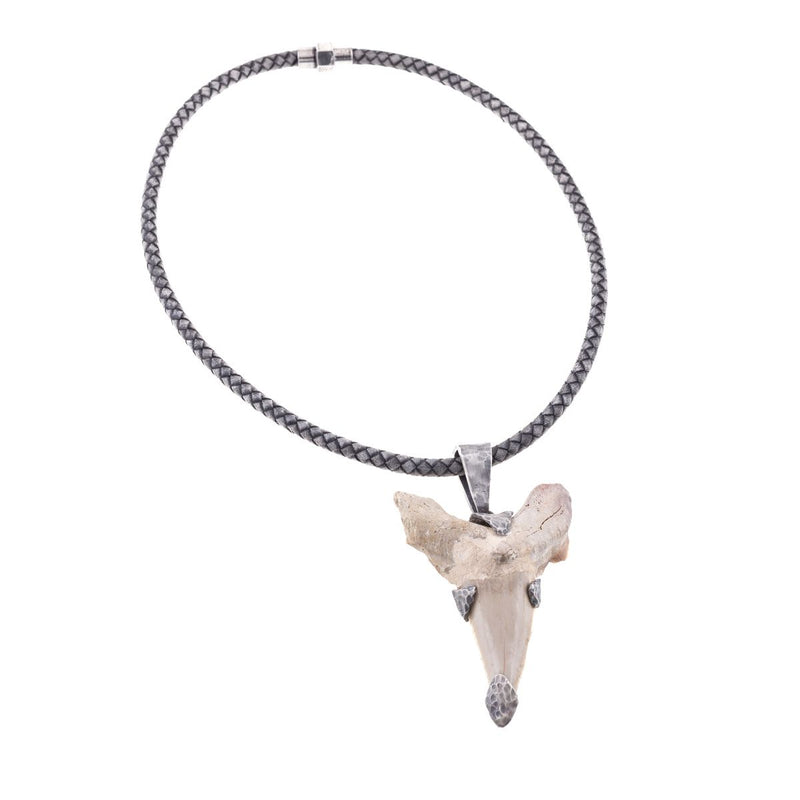 Fossil shark tooth necklace
