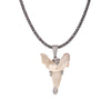 White fossilized shark tooth necklace